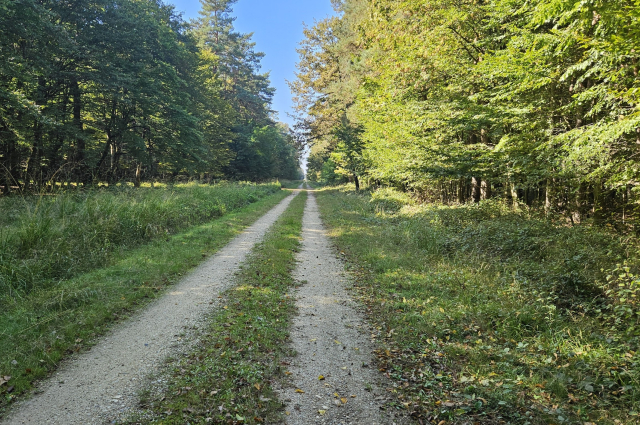 A Szent Márton zarándokúton Kőszegtől a szlovén határig 3. - Jáktól Körmendig