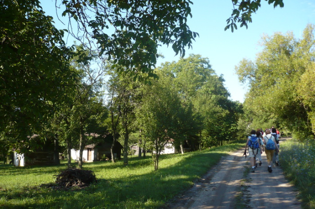 (S-03) - Körmend - Zalalövő