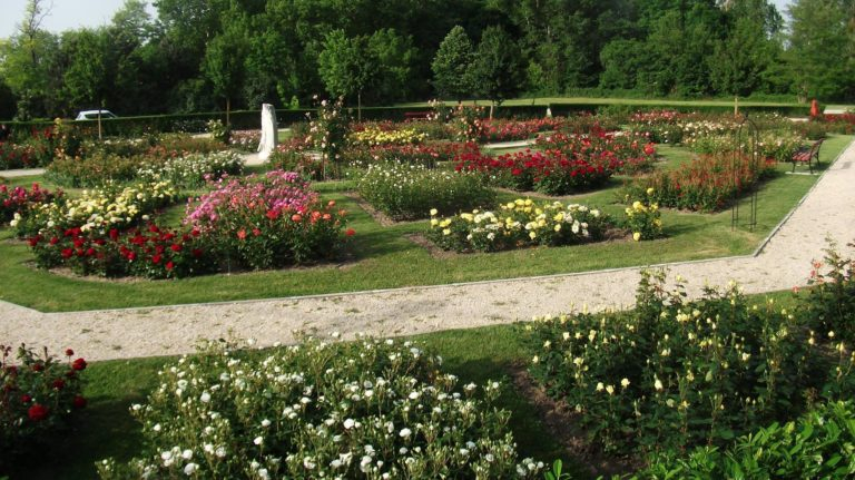 Point of interest - Máriakálnok - Rose Garden (Rozárium) Point of interest - Máriakálnok - Rose Garden (Rozárium)