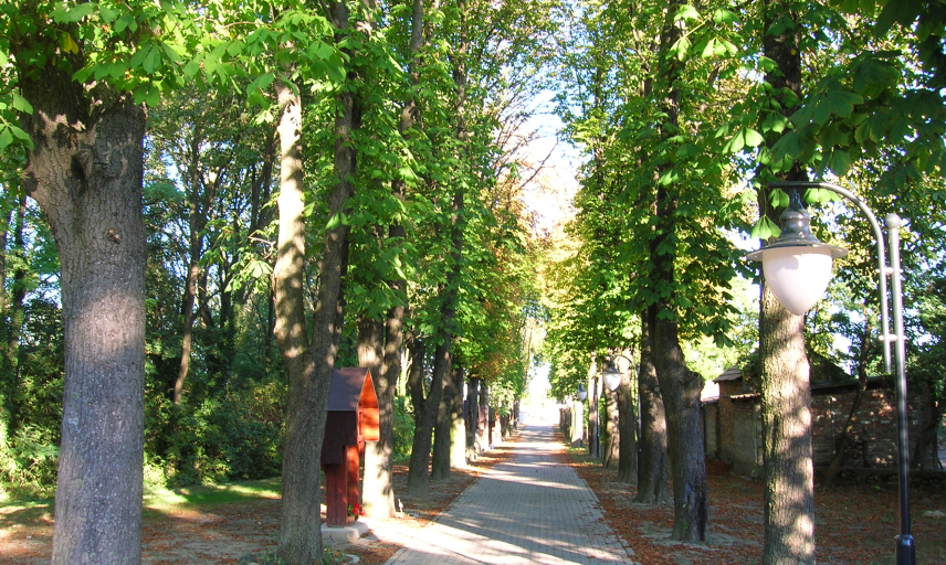 Point of interest- Kimle - Carved stations on the Chestnut Row leading to the Croatian Cemetery