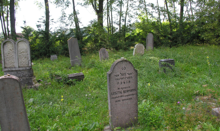 Point of interest - Darnózseli - Jewish Cemetery and Memorial Wall
